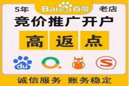 sem竞价托管代运营，助力企业腾飞的成功故事